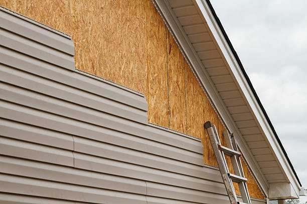 Professional Wood Siding technician working in Forest Lake, MN
